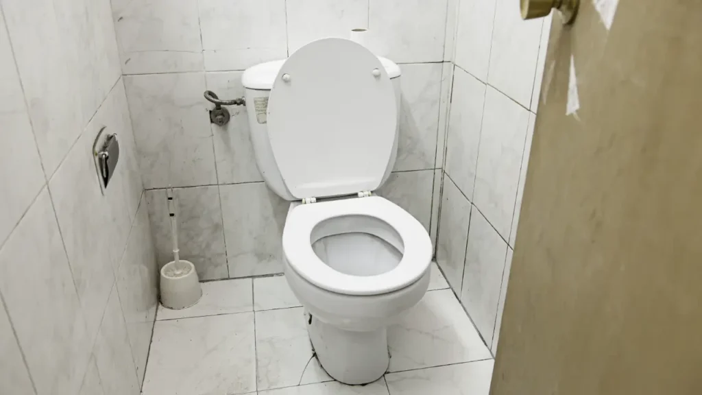 Black water atau limbah toilet